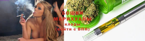 шишки Балахна