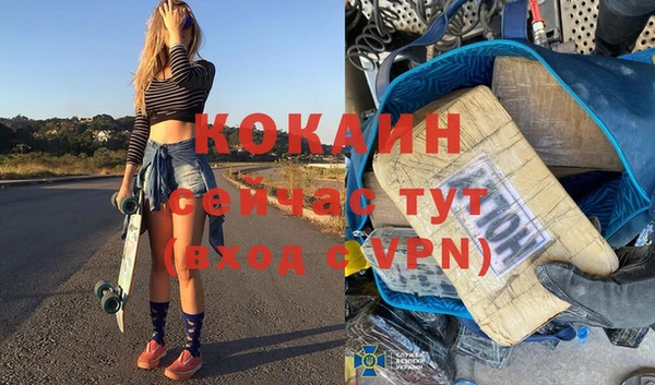 дживик Белокуриха