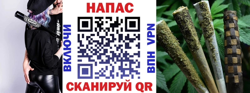 Бошки марихуана индика  Выборг 